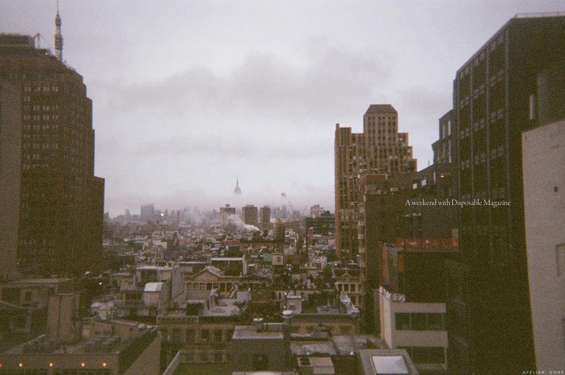 atelier dore disposable magazine