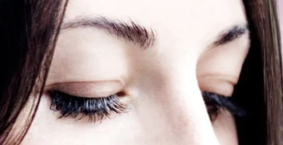 Yeux de Biche