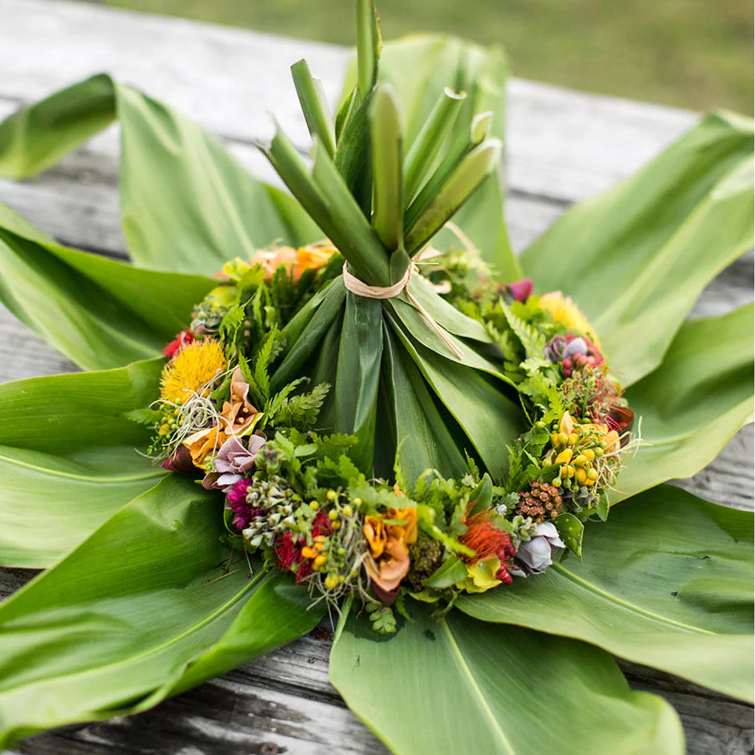 aloha garance dore hawaii photos