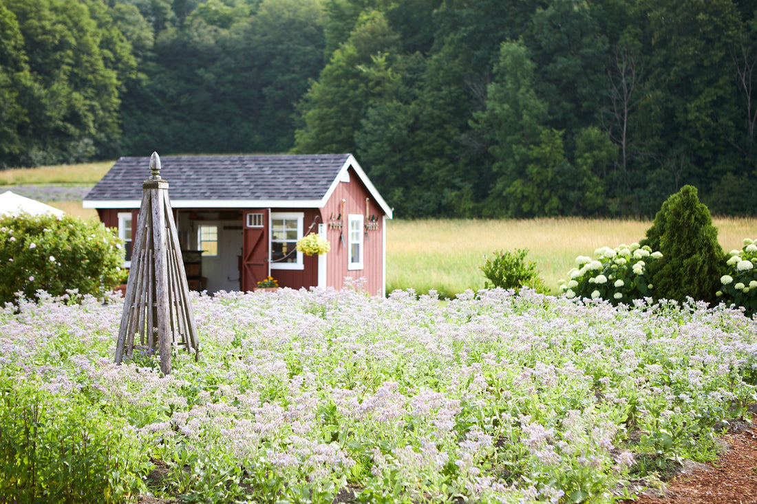 tata harper farm vermont