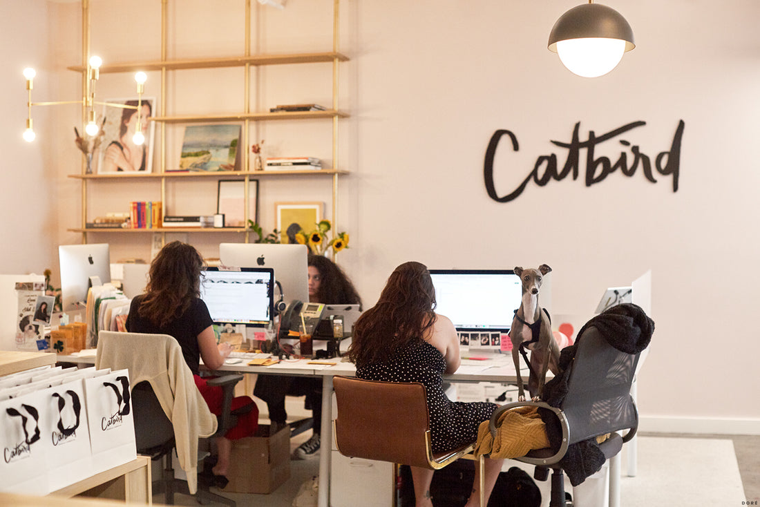 dore studio visit catbird brooklyn