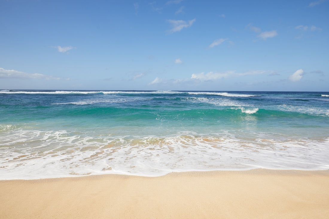 Oleema and Kalani: Sisters in Life and Business