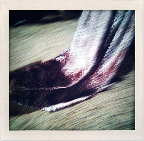 <!--:en-->Last Night in Florence<!--:--><!--:fr-->Hier Soir √† Florence<!--:-->