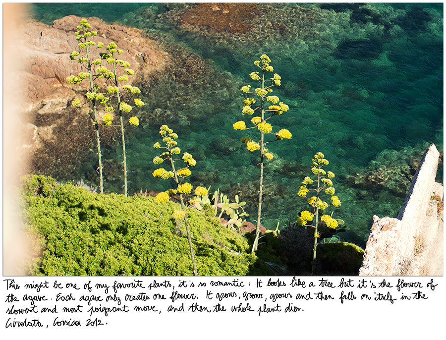 <!--:en-->Album De Vacances, Corsica #10<!--:--><!--:fr-->Album De Vacances, La Corse #10<!--:-->