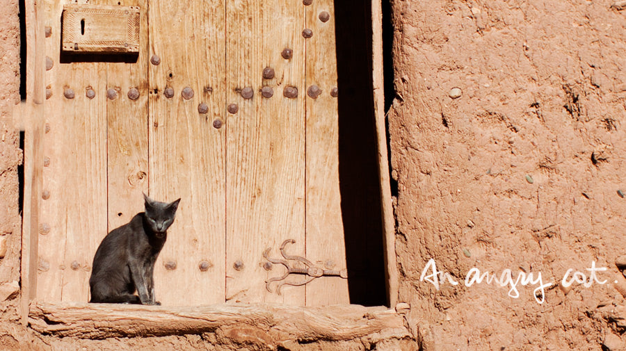 <!--:en-->On the Road, Cat<!--:--><!--:fr-->On the Road, Cat<!--:-->