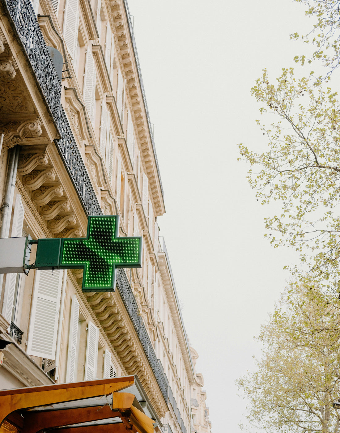 The French Pharmacy