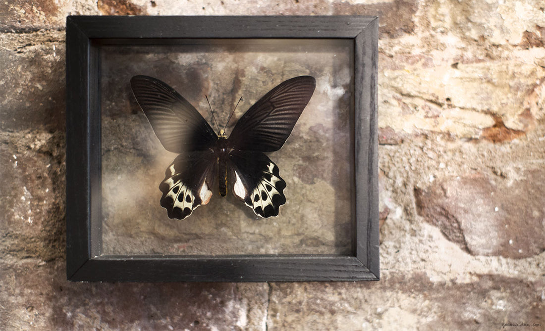 <!--:en-->Weekend Inspiration #81<!--:--><!--:fr-->Weekend Inspiration #81<!--:-->