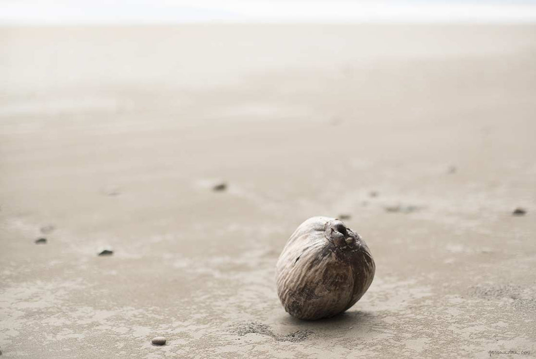 <!--:en-->Weekend Inspiration #127<!--:--><!--:fr-->Weekend Inspiration #127<!--:-->