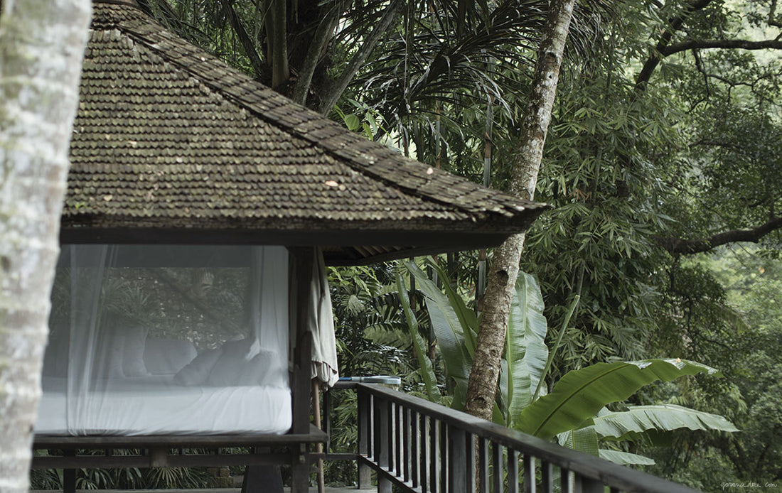 como shambala estate bali indonesia photo