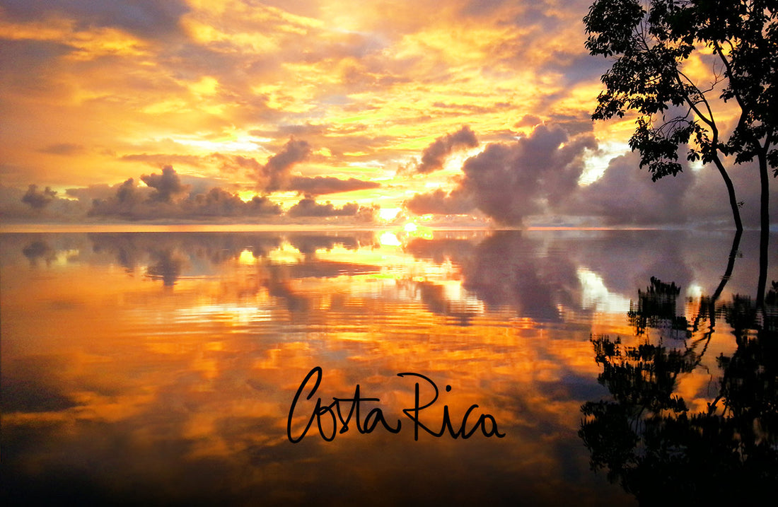 <!--:en-->Costa Rica<!--:--><!--:fr-->Costa Rica<!--:-->