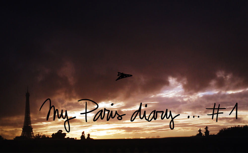 Pardon My French/My Paris Diary #1