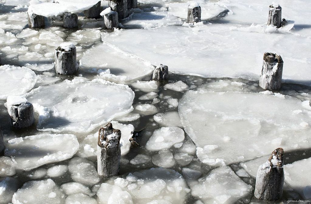 Ice Photo