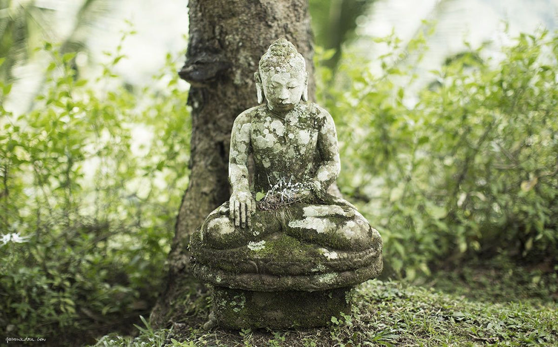 Buddha Bali Photo
