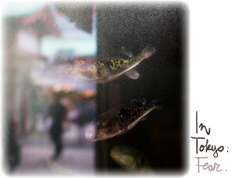 In Tokyo : Fear