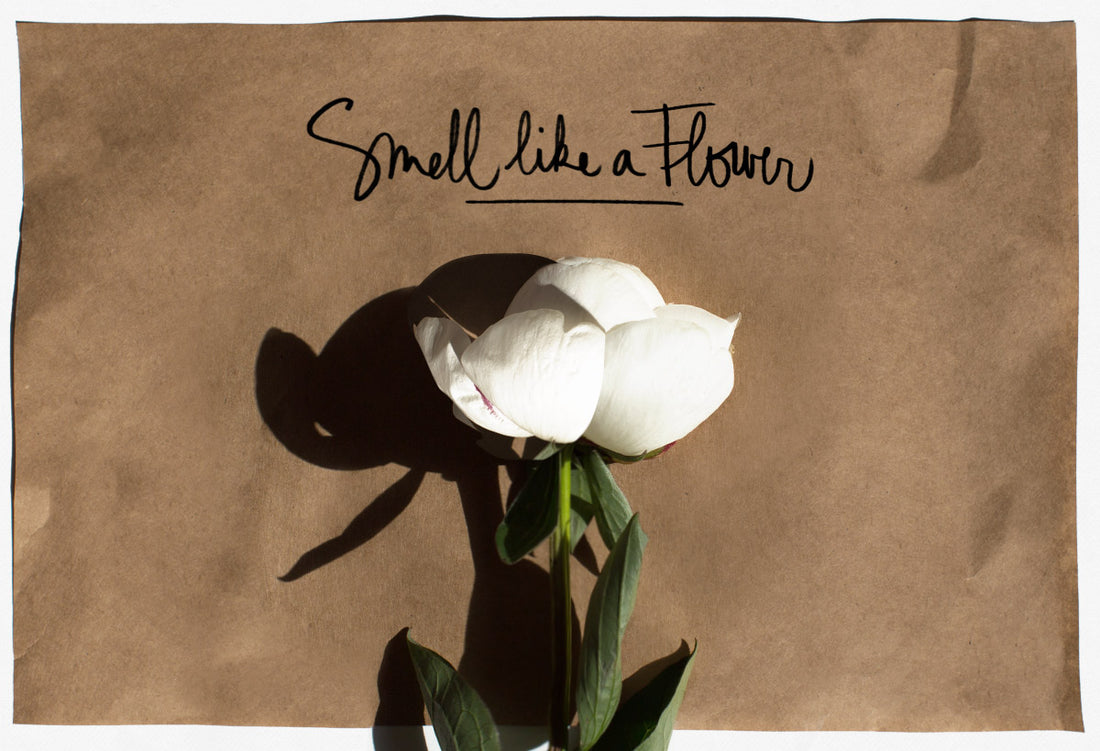 <!--:en-->Smell Like A Flower<!--:--><!--:fr-->Smell Like A Flower<!--:-->