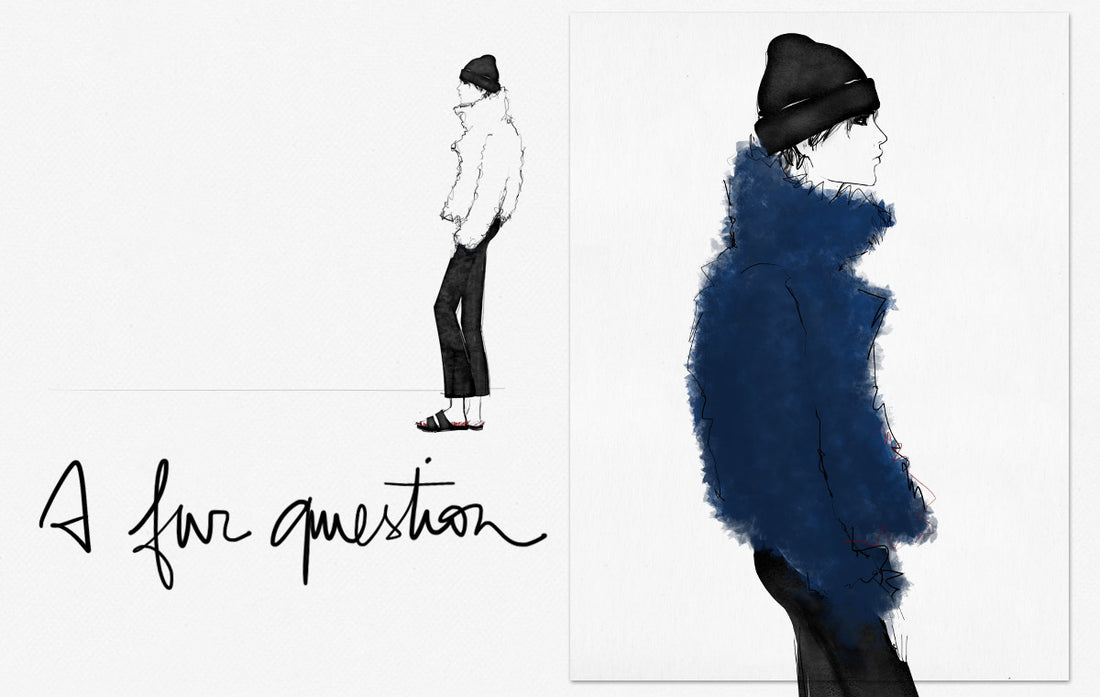 <!--:en-->A Fur Question<!--:--><!--:fr-->A Fur Question<!--:-->