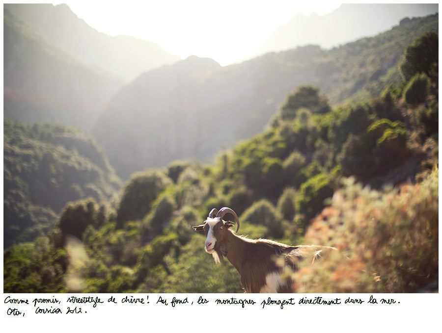 <!--:en-->Album De Vacances, Corsica #12<!--:--><!--:fr-->Album De Vacances, La Corse #12<!--:-->