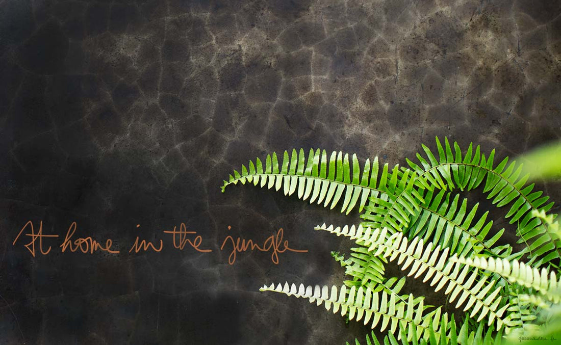 <!--:en-->At Home in the Jungle<!--:--><!--:fr-->At Home in the Jungle<!--:-->