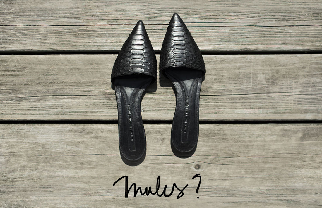 [:en]Mules[:fr]Mules [:]