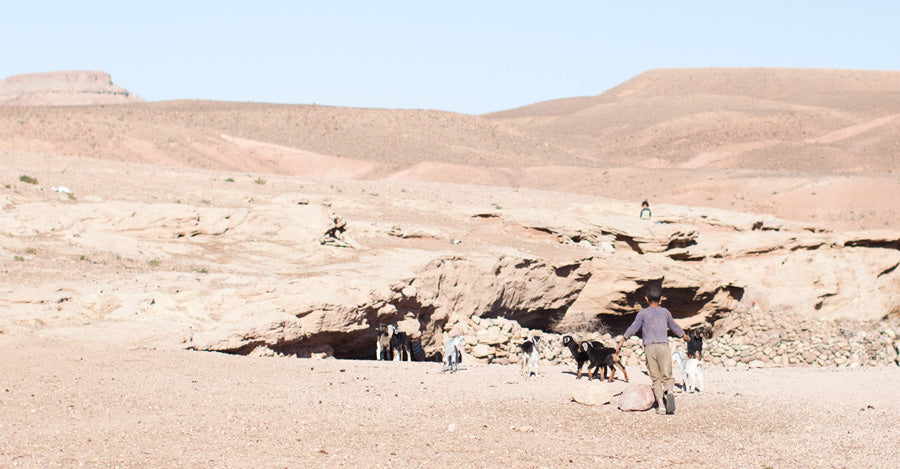<!--:en-->Nomads<!--:--><!--:fr-->Nomades<!--:-->