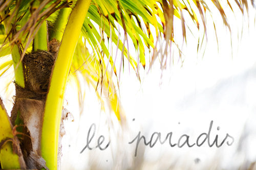 <!--:en-->Le Paradis<!--:--><!--:fr-->Le Paradis<!--:-->