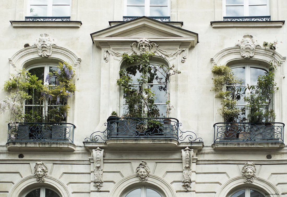 Paris Photo