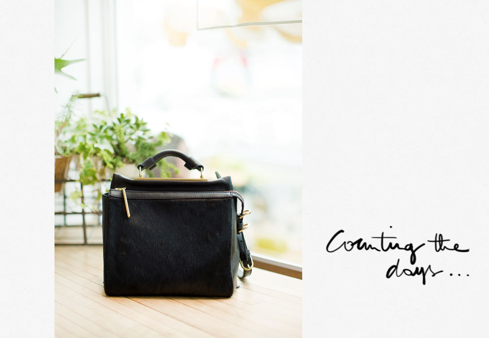 phillip lim bag photo