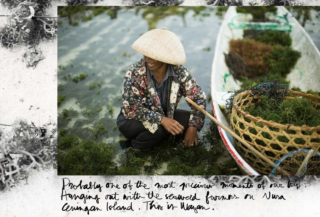 Seaweed Farmers Bali Photo