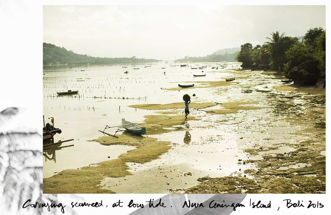 Nusa Ceningan Island Bali Photo